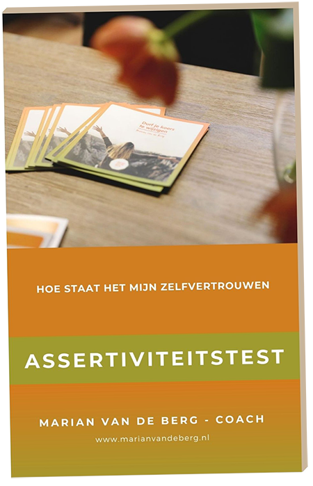 Assertiviteitstest coaching