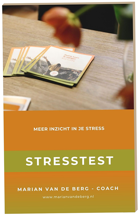 Stresstest lifecoaching